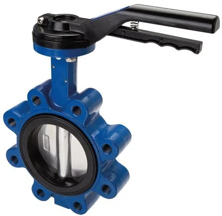 DN150 (6 inch) PN6 Lug Butterfly Valve GG25-Stainless steel-FKM