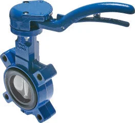 DN125 (5 inch) PN12 Lug Butterfly Valve GG25-Stainless steel-EPDM