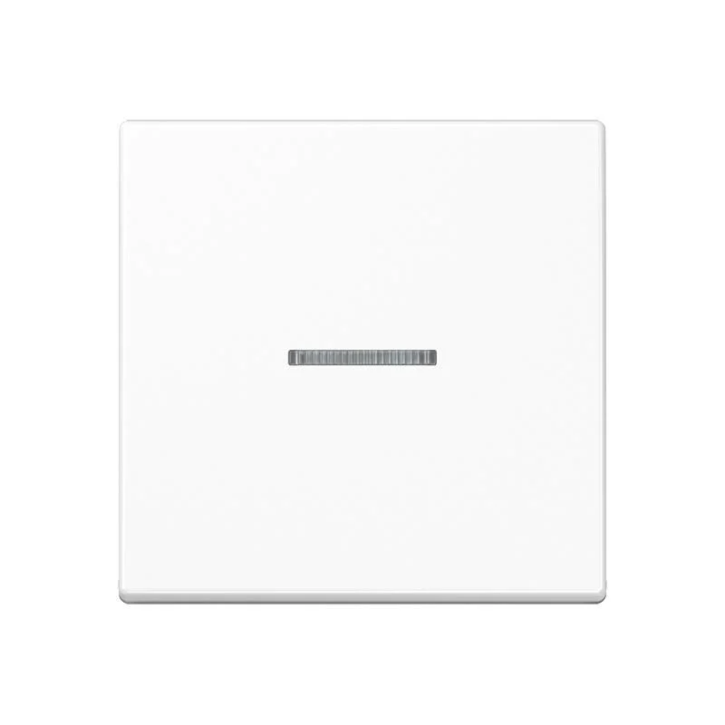 Jung AS RANGE Intelligent Control Element - FMAS1700WW