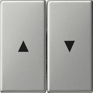 Gira System 55 Control Element/Central Plate Switchgear - 0294600