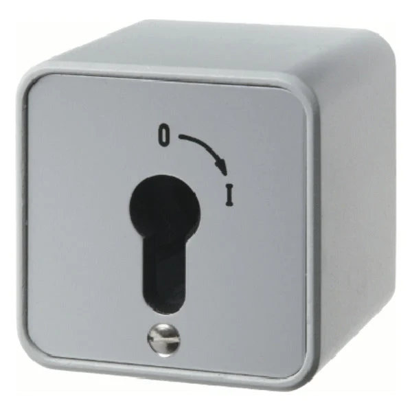 Hager Berker Installation Switch - 4466