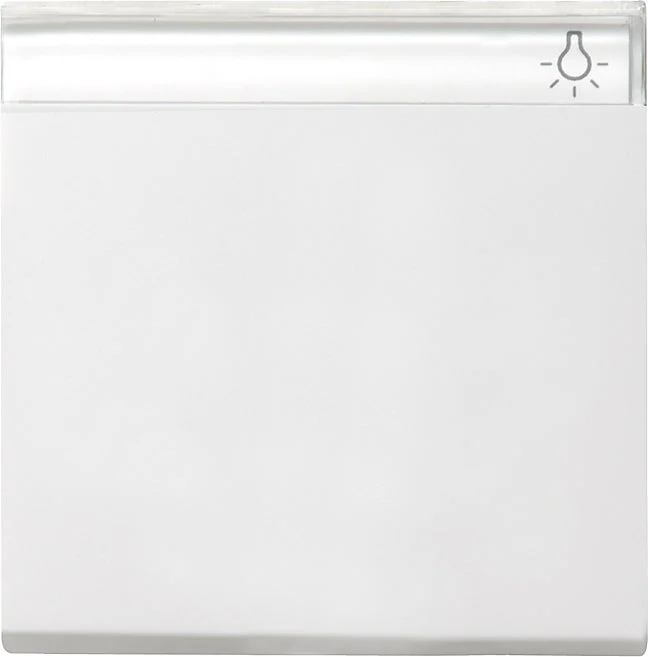 Gira System 55 Control Element/Central Plate Switchgear - 029903