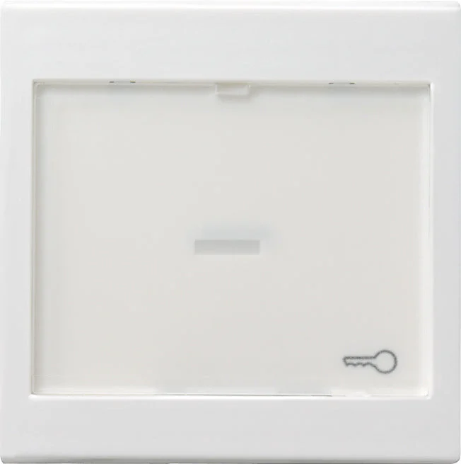 Gira System 55 Control Element/Central Plate Switchgear - 067603