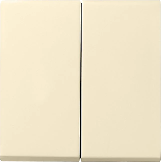 Gira System 55 Control Element/Central Plate Switchgear - 029501