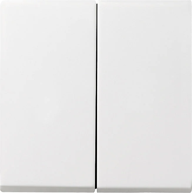 Gira System 55 Control Element/Central Plate Switchgear - 029503