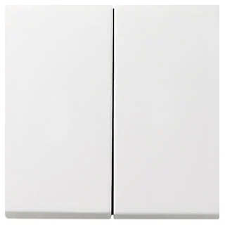 Gira F100 Control Element/Central Plate Switchgear - 0295112