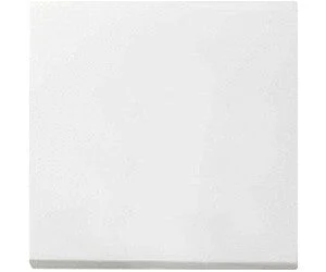 Gira F100 Control Element/Central Plate Switchgear - 0296112