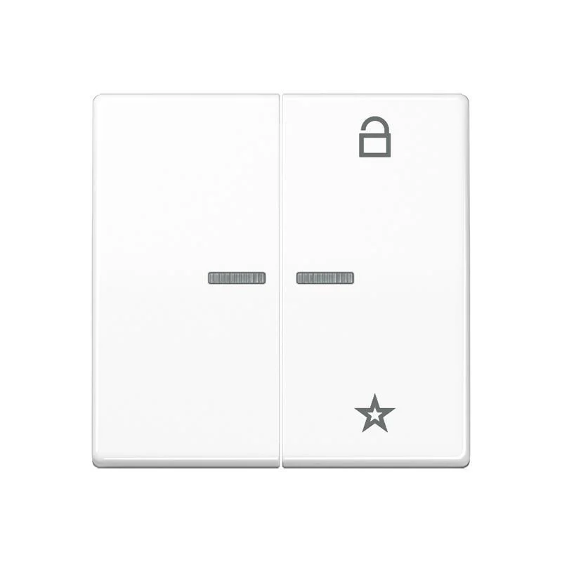 Jung Intelligent Control Element - FMAS1701WW