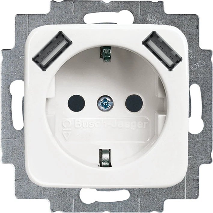 ABB Busch-Jaeger Wall Outlet (WCD Switchgear) - 2CKA002011A6264