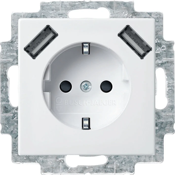 ABB Busch-Jaeger Wall Outlet (WCD Switchgear) - 2CKA002011A6266