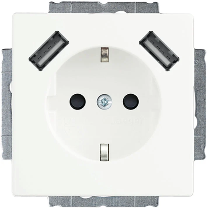 ABB Busch-Jaeger Wall Outlet (WCD Switchgear) - 2CKA002011A6277