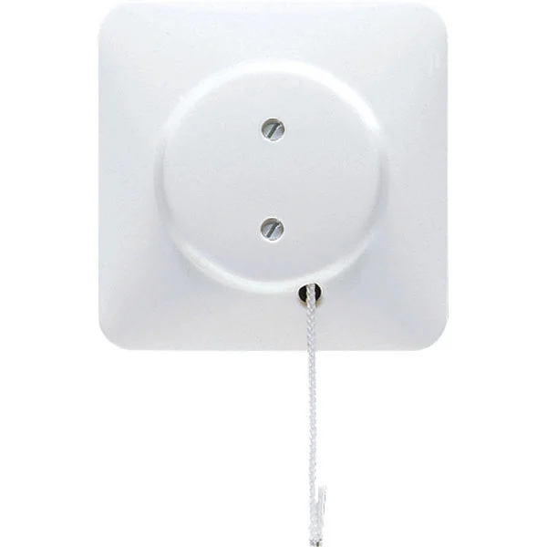 Jung CD500 Installation Switch - Z506NUZVWW