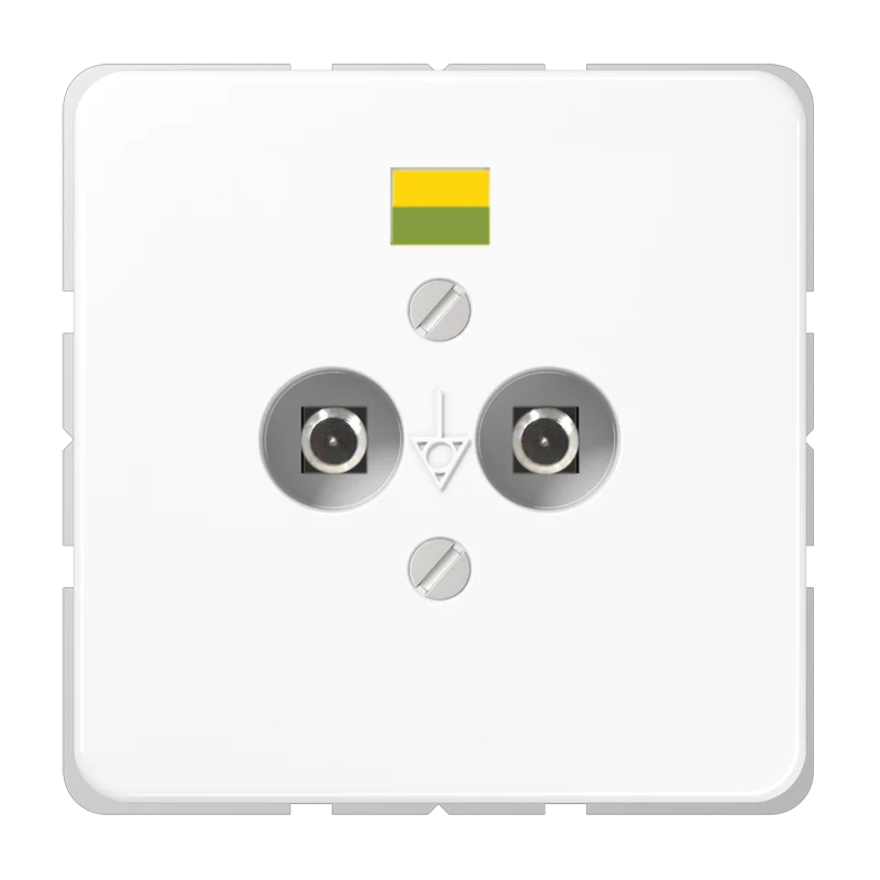 Jung CD500 Potential Equalization Socket Outlet - CD565-2NWW