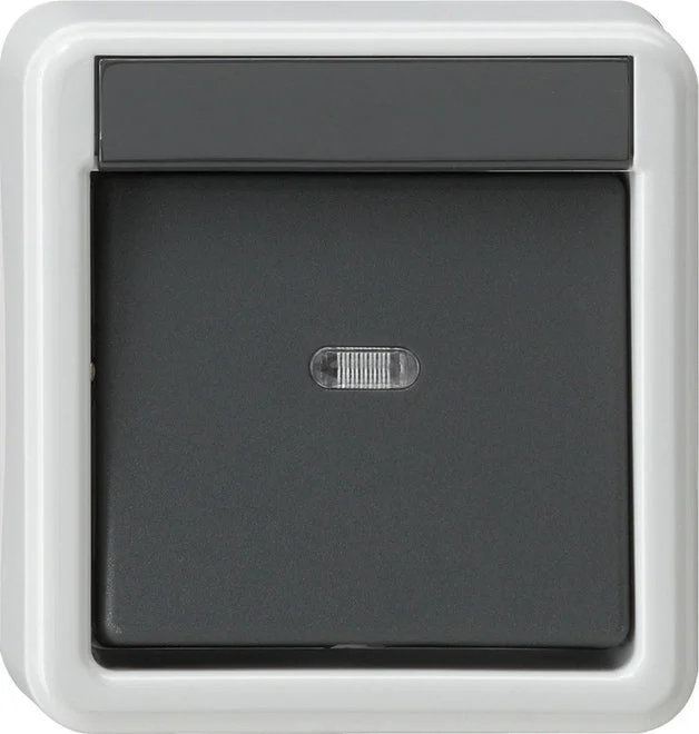 Gira Splashproof Surface-Mounted Installation Switch - 010635