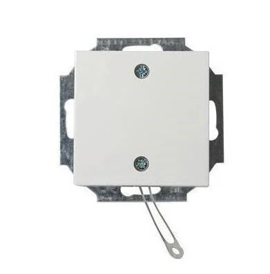 ABB Busch-Jaeger Installation Switch - 2CKA009999A2610