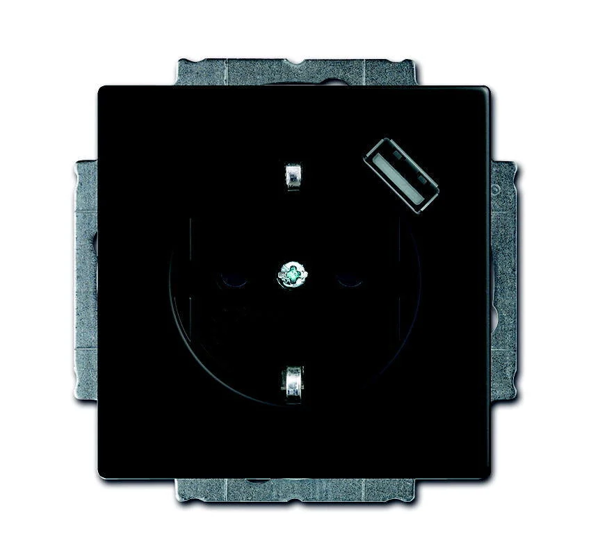 ABB Busch-Jaeger Future Wall Outlet (WCD Switchgear) - 2CKA002011A6165