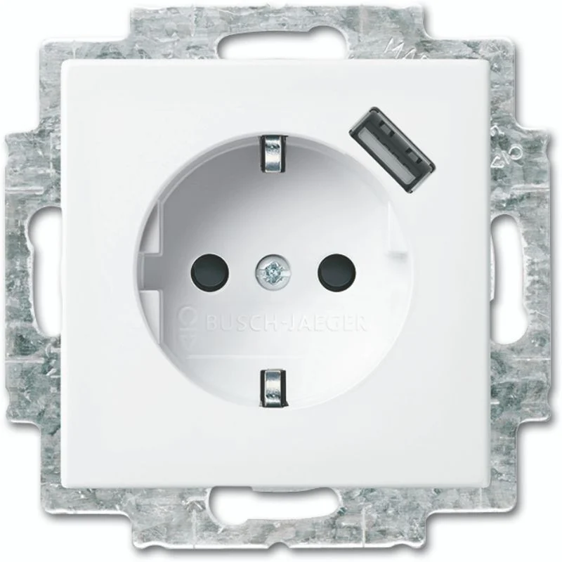 ABB Busch-Jaeger Balance SI Wall Outlet (WCD Switchgear) - 2CKA002011A6237