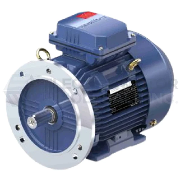 3HP MARATHON 1170RPM 112M IP55 3PH B3/B5 TERRAMAX IEC MOTOR R823