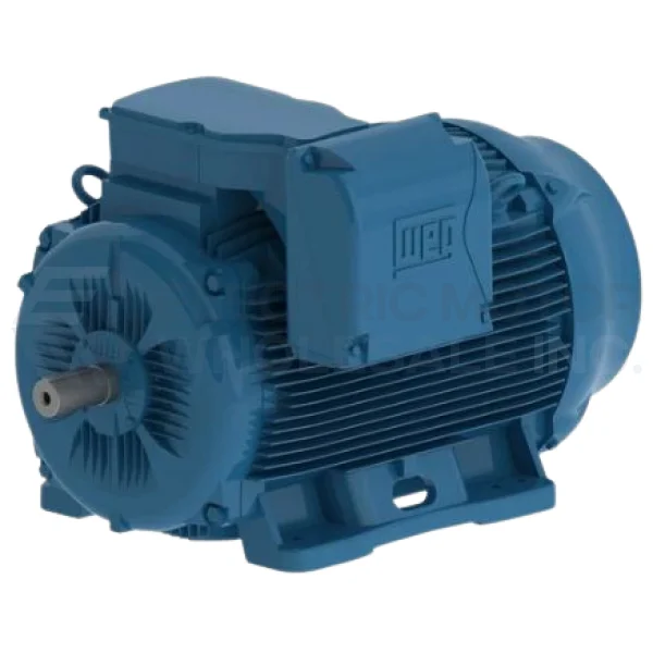 60HP WEG 1780RPM 225S/M FRAME IP55 B3 IEC TRU-METRIC MOTOR 04518ET3Y225S/M-W22