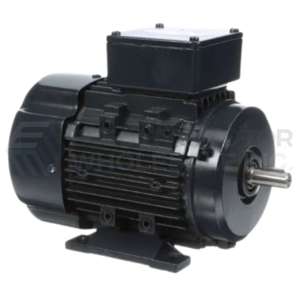 1/3HP LEESON 1700RPM 71 IP43 3PH B3 PASSPORT IEC MOTOR 192021.00