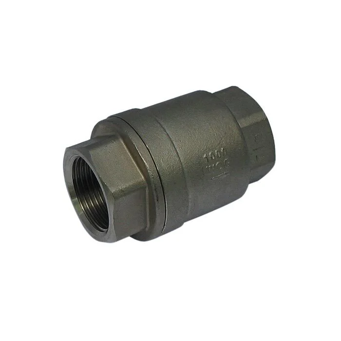 655 - G3/4'' Check Valve Stainless Steel PTFE F/F 64bar