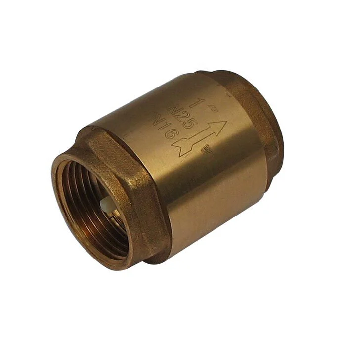 999L - G2'' Check Valve Brass NBR F/F 10bar
